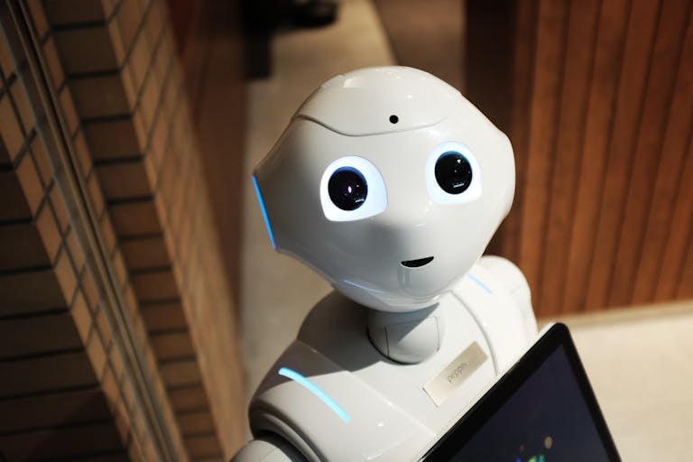 bot de inteligencia artifical